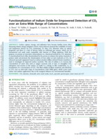Functionalization of Indium Oxide for Empowered Detection of CO2 over an Extra-Wide Range of Concentrations