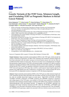 Genetic Variants of the TERT Gene, Telomere Length, and Circulating TERT as Prognostic Markers in Rectal Cancer Patients