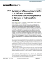 Synecology of Lagoecia cuminoides L. in Italy and evaluation of functional compounds presence in its water or hydroalcoholic extracts