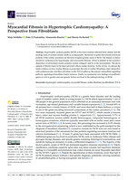 Myocardial Fibrosis in Hypertrophic Cardiomyopathy: A Perspective from Fibroblasts