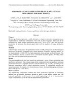 A Biomass Steam Gasification Pilot Plant: Syngas Suitability for  SOFC Stacks