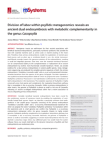 Division of labor within psyllids: metagenomics reveals an ancient dual endosymbiosis with metabolic complementarity in the genus Cacopsylla