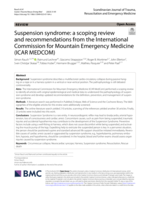 Suspension syndrome: a scoping review and recommendations from the International Commission for Mountain Emergency Medicine (ICAR MEDCOM)