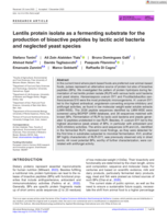 Lentils protein isolate as a fermenting substrate for the production of bioactive peptides by lactic acid bacteria and neglected yeast species