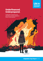 Chapter 4 - Adaptation finance gap