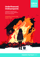 Chapter 5. The adaptation finance gap