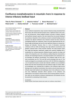Confluence morphodynamics in mountain rivers in response to intense tributary bedload input.