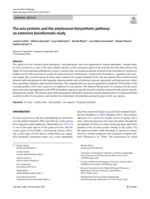 The Ams proteins and the amylovoran biosynthetic pathway: An extensive bioinformatic study