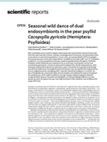Seasonal wild dance of dual endosymbionts in the pear psyllid Cacopsylla pyricola (Hemiptera: Psylloidea)