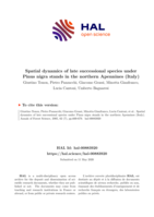 Spatial dynamics of late successional species under Pinus nigra stands in the northern Apennines (Italy)