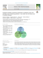Ecological strategies of bacterial communities in prehistoric stone wall paintings across weathering gradients: A case study from the Borana zone in southern Ethiopia