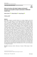 What can be done with today’s budget and demand? Scenarios of rural public transport automation in Mühlwald (South Tyrol)