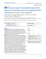 Fluorescent reporter of Caenorhabditis elegans Parkin: Regulators of its abundance and role in autophagy-lysosomal dynamics [version 2; peer review: 2 approved]