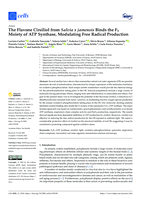 The Flavone Cirsiliol from Salvia x jamensis Binds the F1 Moiety of ATP Synthase, Modulating Free Radical Production