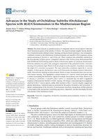Advances in the Study of Orchidinae Subtribe (Orchidaceae) Species with 40,42-Chromosomes in the Mediterranean Region