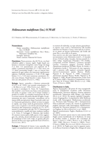 Schede per una Lista Rossa della Flora vascolare e crittogamica Italiana: Hellenocarum multiflorum (Sm.) H.Wolff