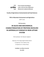 In-silico and biochemical characterization of proteins involved in Aspergillus fumigatus iron uptake system