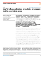 Leaf-level coordination principles propagate to the ecosystem scale