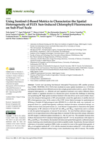 Using Sentinel-2-Based Metrics to Characterize the Spatial Heterogeneity of FLEX Sun-Induced Chlorophyll Fluorescence on Sub-Pixel Scale