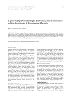 Il genere Aegilops (Poaceae) in Puglia: distribuzione, stato di conservazione e chiave dicotomica per la determinazione delle specie