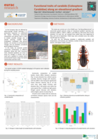 Functional traits of carabids (Coleoptera: Carabidae) along an elevational gradient