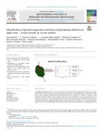 Identification of spectral ranges that contribute to phytoplasma detection in apple trees – A step towards an on-site method