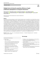 Multiple factors driving the acquisition efficiency of apple proliferation phytoplasma in Cacopsylla melanoneura