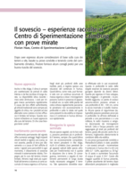 Il sovescio – esperienze raccolte al  Centro di Sperimentazione Laimburg  con prove mirate