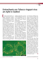 Erstnachweis von Tobacco ringspot virus am Apfel in Südtirol