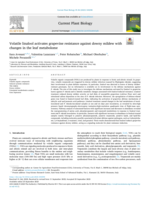 Volatile linalool activates grapevine resistance against downy mildew with changes in the leaf metabolome