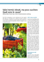 Valori termici elevati, ma poco zucchero - Quali sono le cause?