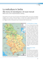 La melicoltura in Serbia - Alla ricerca di manodopera e di nuovi mercati