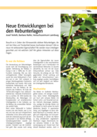 Neue Entwicklungen bei den Rebunterlagen