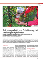 Belichtungsschnitt und Entblätterung bei zweifarbigen Apfelsorten