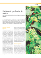 Protinnesti per la vite. Le novità