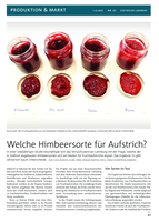 Welche Himbeersorte für Aufstrich?