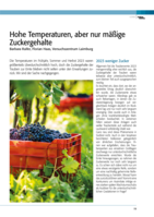 Hohe Temperaturen, aber nur mäßige Zuckergehalte