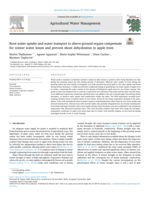 Root water uptake and water transport to above-ground organs compensate for winter water losses and prevent shoot dehydration in apple trees