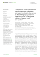 Comparative transcriptome and metabolite survey reveal key pathways involved in the control of the chilling injury disorder superficial scald in two apple cultivars, ‘Granny Smith’ and ‘Ladina’