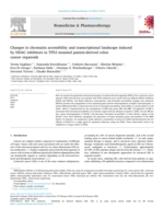 Changes in chromatin accessibility and transcriptional landscape induced by HDAC inhibitors in TP53 mutated patient-derived colon cancer organoids