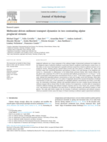 Meltwater-driven sediment transport dynamics in two contrasting alpine proglacial streams