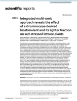 Integrated multi-omic approach reveals the effect of a Graminaceae-derived biostimulant and its lighter fraction on salt-stressed lettuce plants