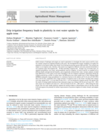 Drip irrigation frequency leads to plasticity in root water uptake by apple trees