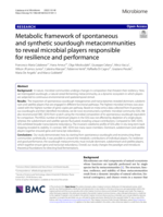 Metabolic framework of spontaneous and synthetic sourdough metacommunities to reveal microbial players responsible for resilience and performance