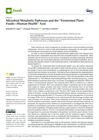 Microbial Metabolic Pathways and the “Fermented Plant Foods—Human Health” Axis [Editorial]