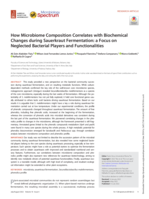 How Microbiome Composition Correlates with Biochemical Changes during Sauerkraut Fermentation: a Focus on Neglected Bacterial Players and Functionalities