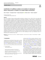 Contribution of cauliflower residues to N nutrition of subsequent lettuce crops grown in rotation in an Italian Alpine environment