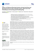 Effects of Different Housing Systems during Suckling and Rearing Period on Skin and Tail Lesions, Tail Losses and Performance of Growing and Finishing Pigs.