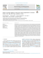Impact of salvage logging on short-term natural regeneration in montane forests of the Alps after large windthrow events