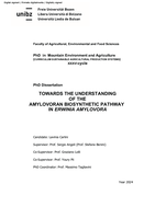 Towards the understanding of the amylovoran biosynthetic pathway in Erwinia amylovora